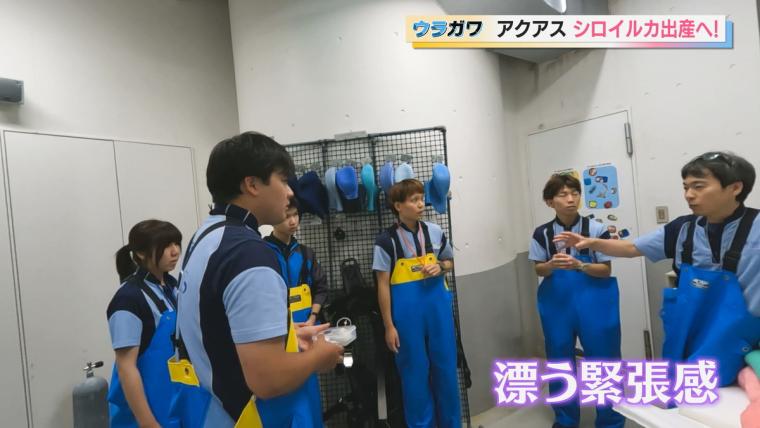 【島根】水族館の飼育員さんお仕事に密着！シロイルカの出産に初立ち合い…！