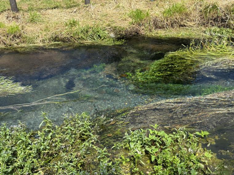 【鳥取】世界一に選ばれた大山 G ビールのブルワリー見学。お土産付きでとてもお得！