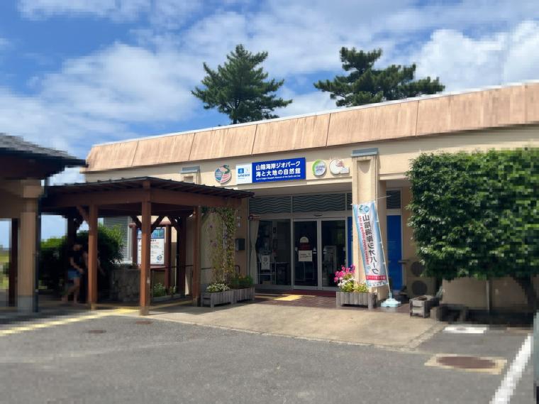 巨大イカ・ダイオウイカの標本も！海沿いにある子どもと一緒のおでかけにもおすすめの博物館「海と大地の自然館」（鳥取県岩美町）