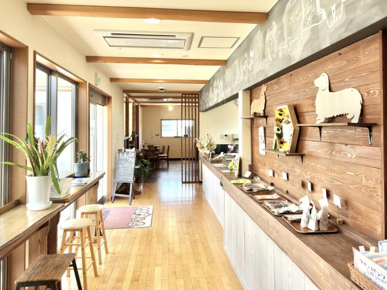 【鳥取】カップに柴犬が浮かぶ「しばオレ」が可愛すぎ！愛犬と楽しむこともできるドッグカフェがオープン