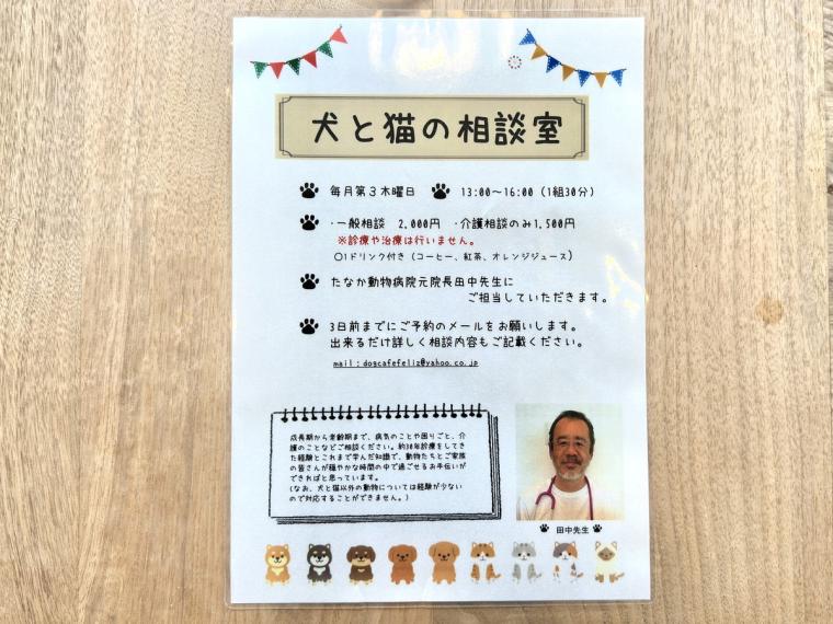 【鳥取】カップに柴犬が浮かぶ「しばオレ」が可愛すぎ！愛犬と楽しむこともできるドッグカフェがオープン