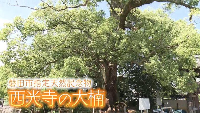 【静岡県磐田市・西光寺】住職これやり過ぎでは? ピカピカ＆ハートで突き抜け若者に人気のパワースポットに