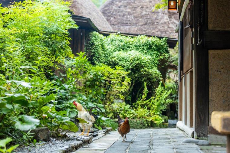 忘れの里 雅叙苑