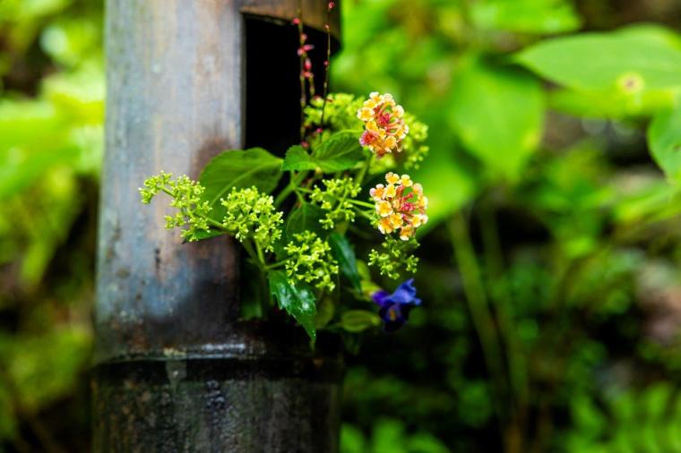 忘れの里 雅叙苑