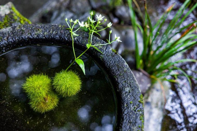 忘れの里 雅叙苑