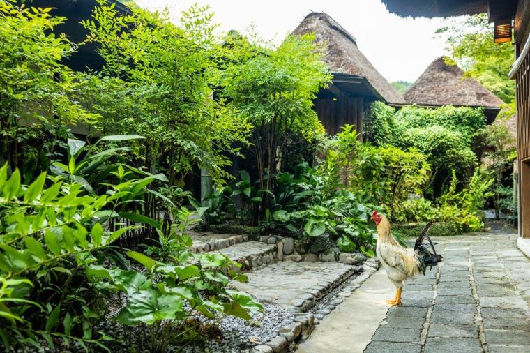 忘れの里 雅叙苑