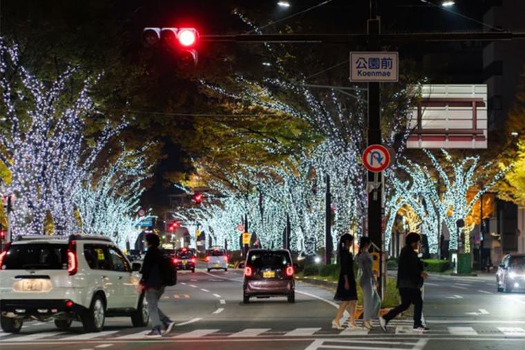 和歌山「けやきライトパレード」