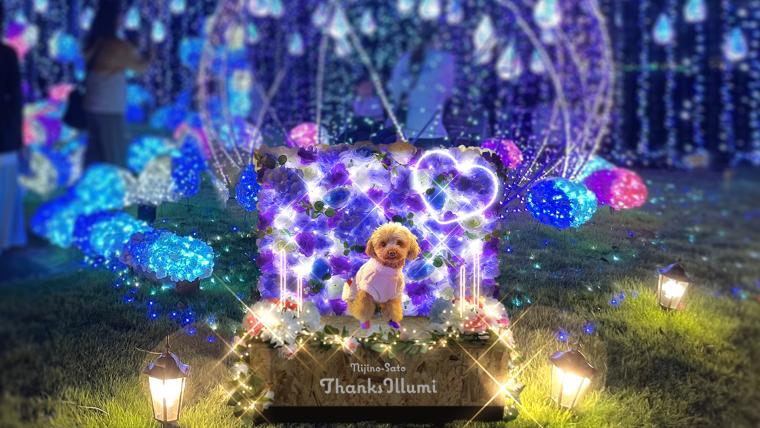 犬専用フォトスポット