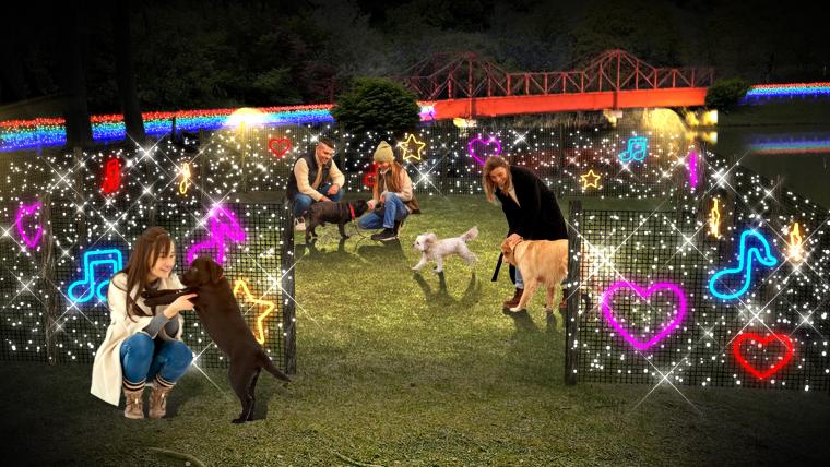 ＜光のドッグラン＞