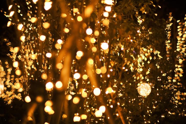 いばらきフラワーパーク「フラワーイルミネイト」