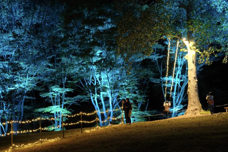 いばらきフラワーパーク「Moonlight Rose Garden2024」