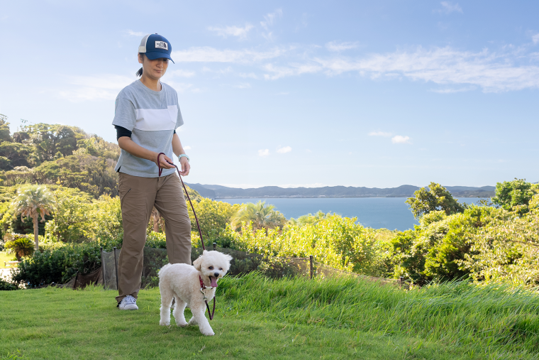 ドッグランのイメージ