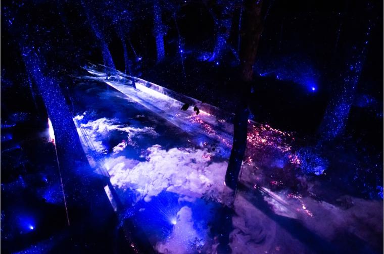 京都府立植物園「LIGHT CYCLES KYOTO」MEMORY OF WATER