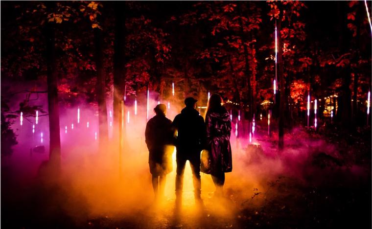 京都府立植物園「LIGHT CYCLES KYOTO」FOREST FREQUENCIES