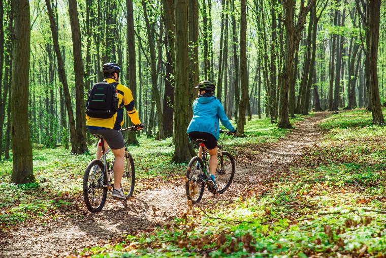 Eバイクのレンタル