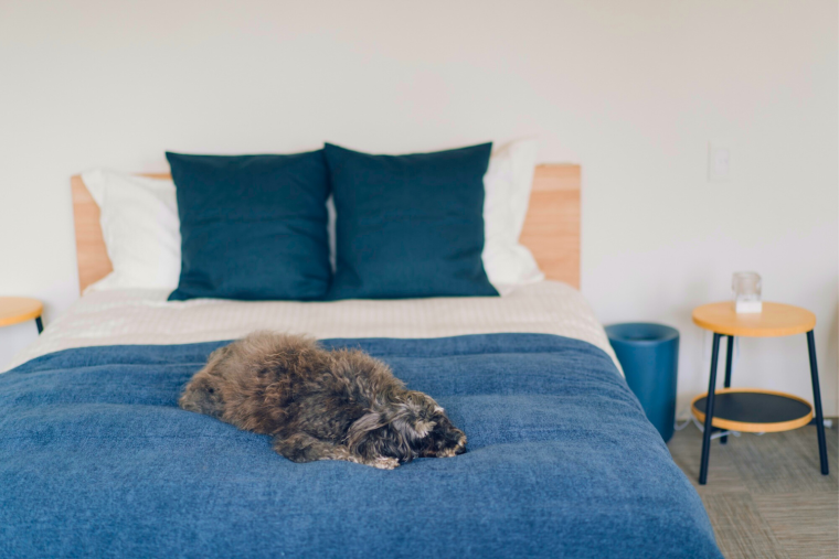 「slow glamping 風と海と」ペット同伴