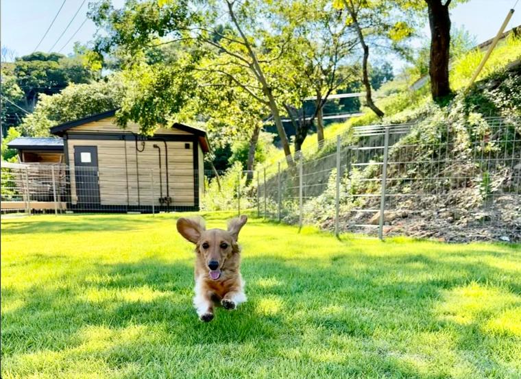 「slow glamping 風と海と」天然芝ドッグラン