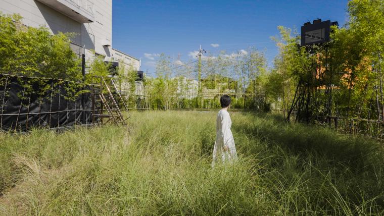 チームラボ「風と雨と太陽の草原」