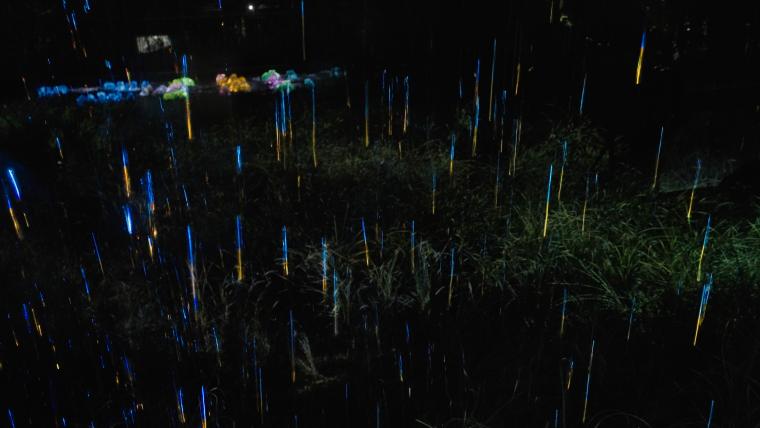 チームラボ「雨の儚い結晶」