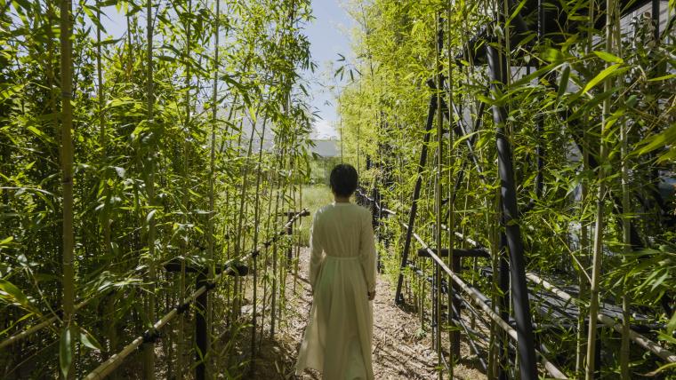 チームラボ「風と雨と太陽の草原」