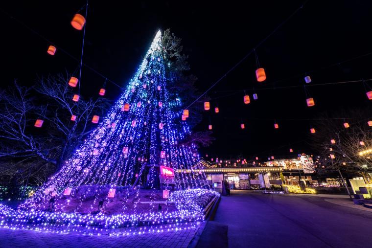 「御殿場高原 時之栖」ひかりのすみか・シンボルツリー
