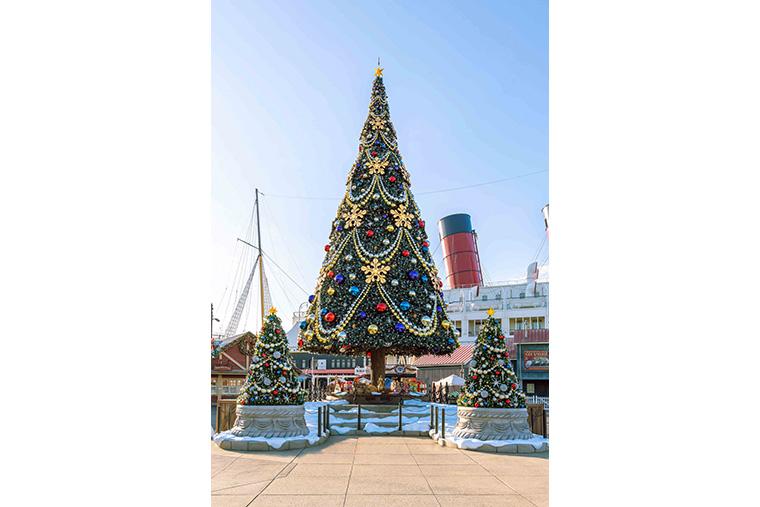 2024年 ディズニー・クリスマス