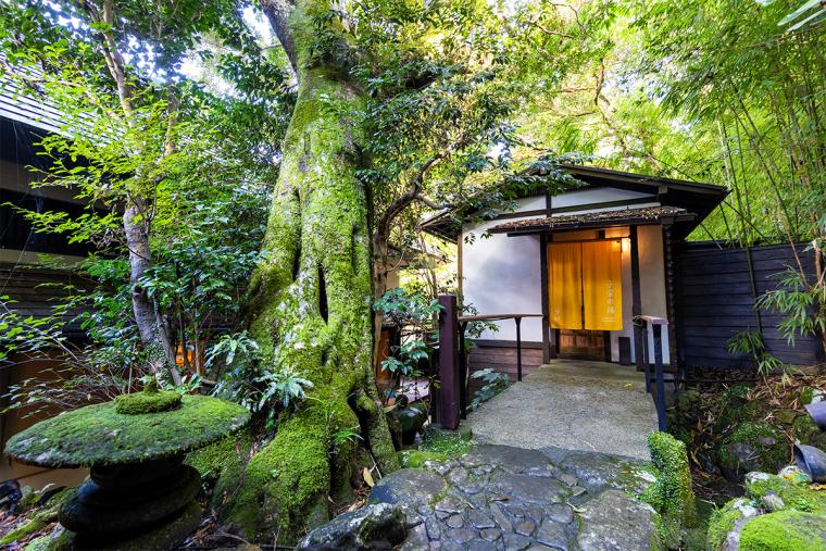 東府やResort&Spa-Izu