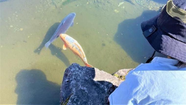 “一升瓶”でこんなにはしゃげる！老舗酒蔵×子どもの遊び場がすごかった！唯一無二の新スポット【渕上パパが行く、公園ブラボー＃20】