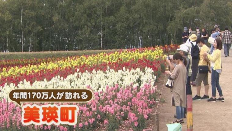 【TV で注目】なぜここに？人里離れたウマい店！森の中にあるこだわりグラタン店｜北海道・美瑛町