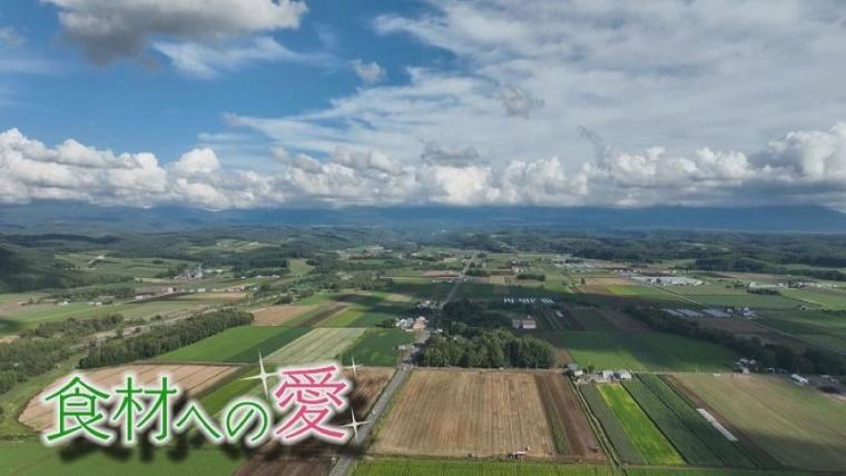 【TV で注目】なぜここに？人里離れたウマい店！森の中にあるこだわりグラタン店｜北海道・美瑛町