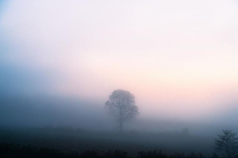 【北海道の絶景 5 選】「息をするのを忘れるくらいの感動」マジックアワーに見た『霧の世界』／十勝