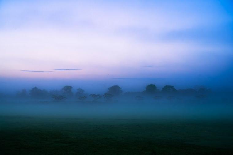 【北海道の絶景 5 選】「息をするのを忘れるくらいの感動」マジックアワーに見た『霧の世界』／十勝