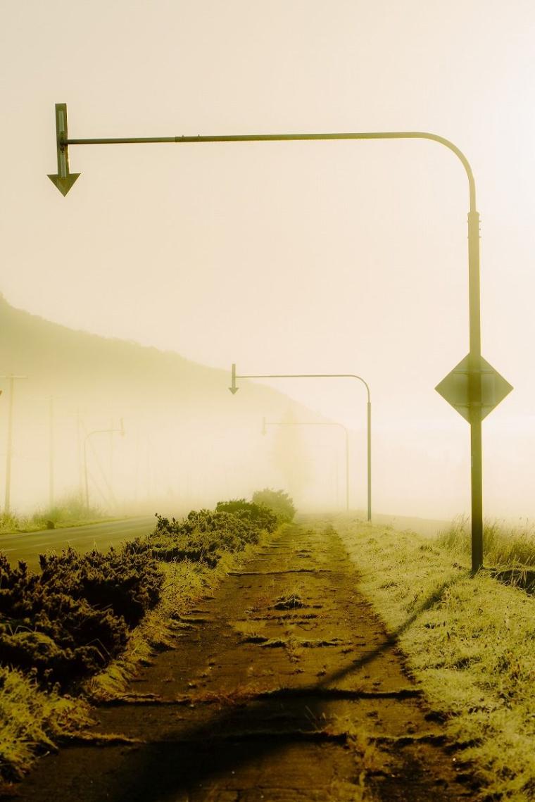 【北海道の絶景 5 選】早起きしないと見られない『霧の世界』 雄大な十勝平野が幻想的に