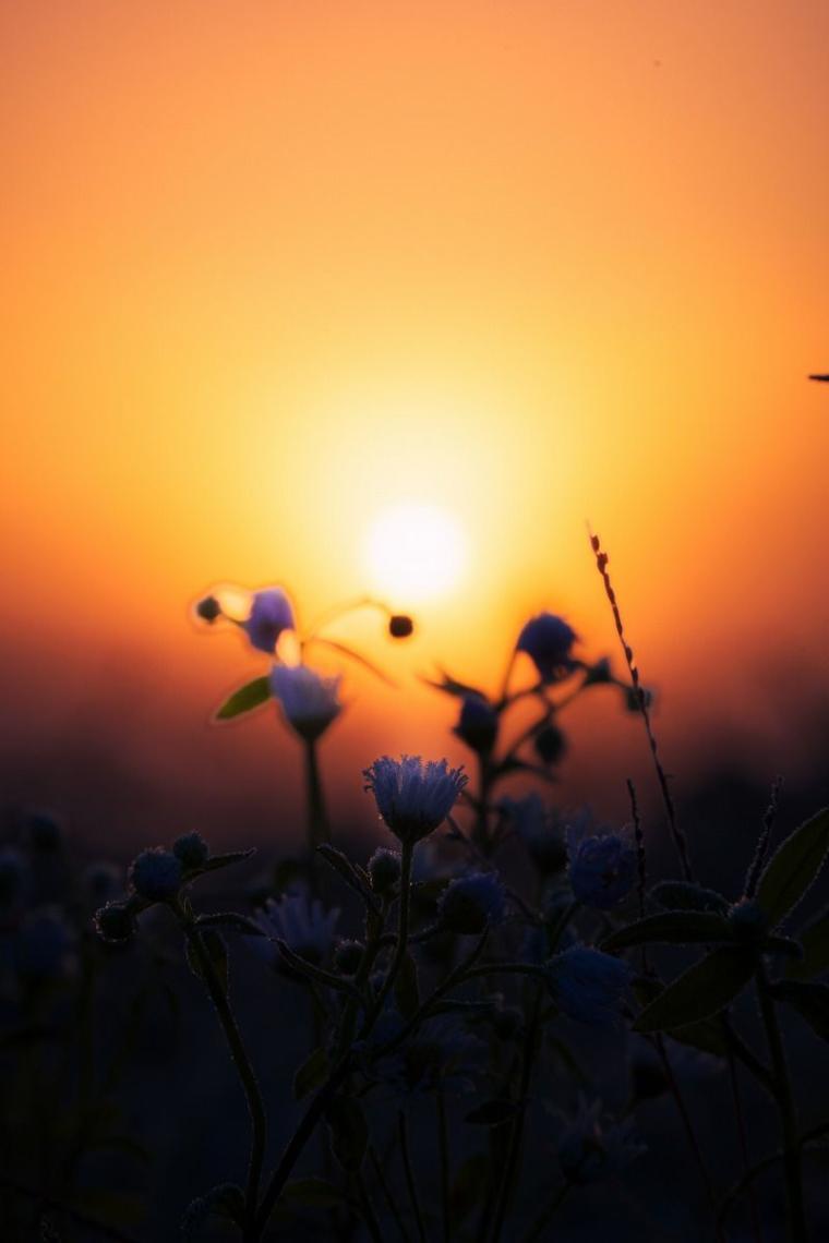 【北海道の絶景 5 選】早起きしないと見られない『霧の世界』 雄大な十勝平野が幻想的に