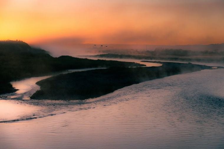 【北海道の絶景 5 選】早起きしないと見られない『霧の世界』 雄大な十勝平野が幻想的に