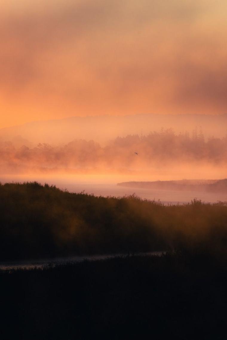 【北海道の絶景 5 選】早起きしないと見られない『霧の世界』 雄大な十勝平野が幻想的に