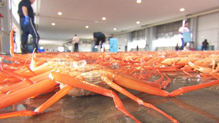 水揚げ直後のカニ 60 分食べ放題！国内外から観光客が殺到する漁港そば【新湊かに小屋】