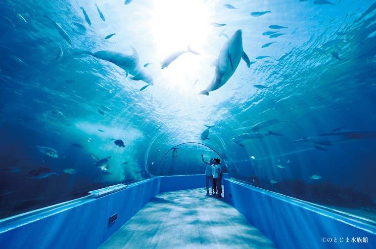 ジンベエザメにまた会える！【のとじま水族館】地震から 9 か月で待望の展示再開