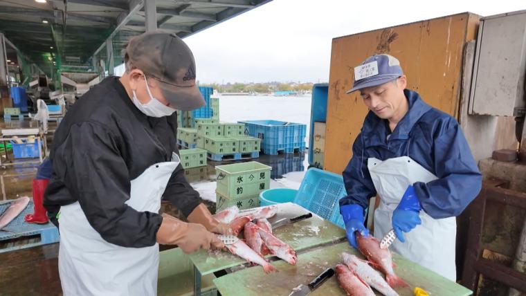 漁港で下処理まで！とことん鮮度にこだわる富山のウマいご当地回転寿司【氷見回転寿司 粋鮨】
