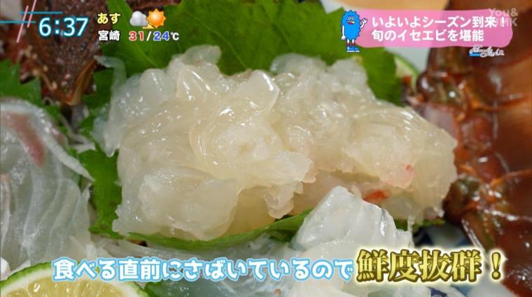 シーズン到来！旬の伊勢海老を満喫！ – 民宿「紅碧」（宮崎県延岡市須美江）