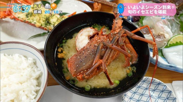 シーズン到来！旬の伊勢海老を満喫！ – 民宿「紅碧」（宮崎県延岡市須美江）