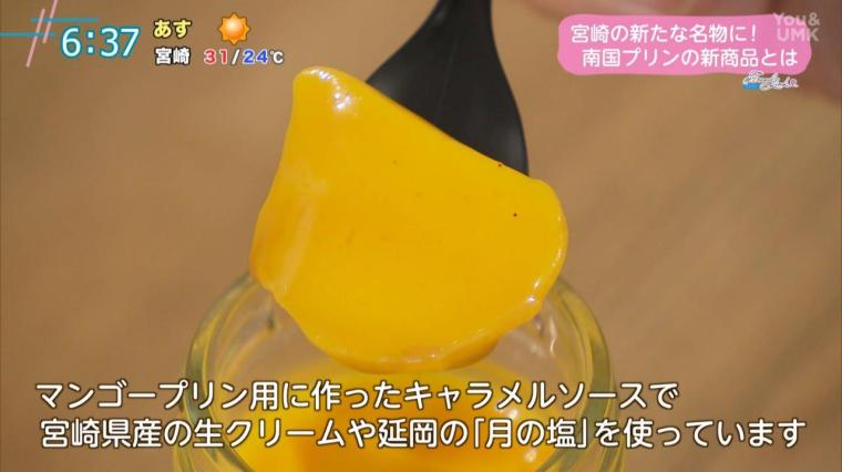 宮崎の食材をふんだんに使った絶品プリン！新商品「塩キャラマンゴープリン」が登場(2024年9月2日放送）