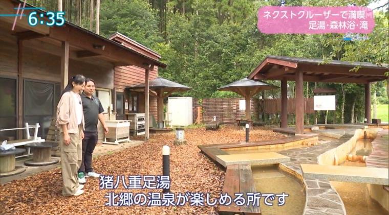 【宮崎】次世代電動ミニカーで巡る！日南市北郷町の魅力を満喫するドライブ体験&足湯＆森林浴（日南市北郷町）