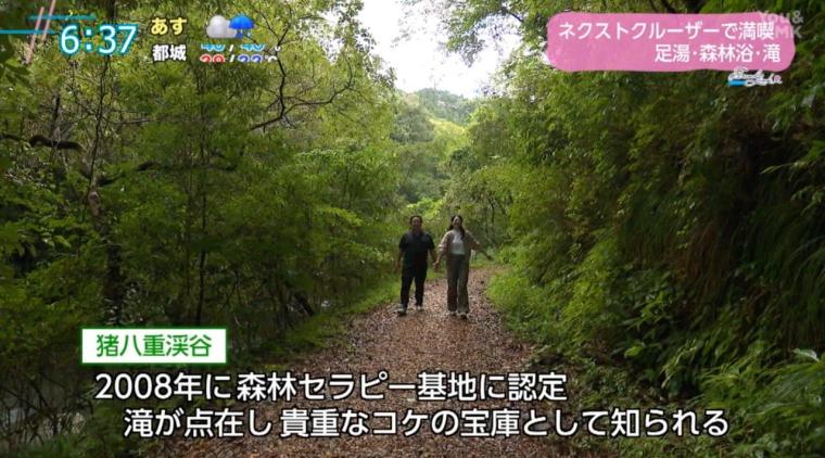 【宮崎】次世代電動ミニカーで巡る！日南市北郷町の魅力を満喫するドライブ体験&足湯＆森林浴（日南市北郷町）