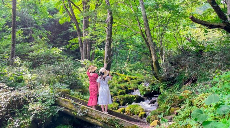 【鳥取】宇多田ヒカルさんも訪れたサントリーCM ロケ地。ジブリの世界に迷い込んだような緑の世界へ