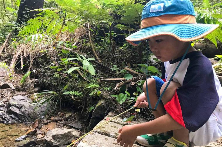 【沖縄北部】名護市民オススメのローカル情報！名護市の観光スポットやグルメを紹介！！