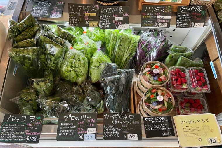 【沖縄北部】名護市民オススメのローカル情報！名護市の観光スポットやグルメを紹介！！