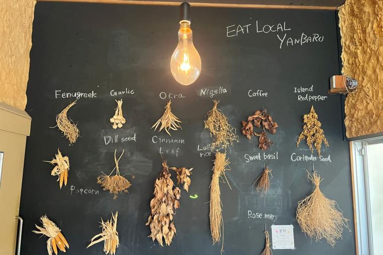 【沖縄北部】名護市民オススメのローカル情報！名護市の観光スポットやグルメを紹介！！