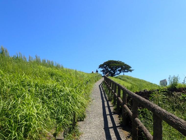 【静岡県伊東市・大室山】アクセスから散策方法まで解説 リフトに乗って標高 580m から伊豆七島を拝む