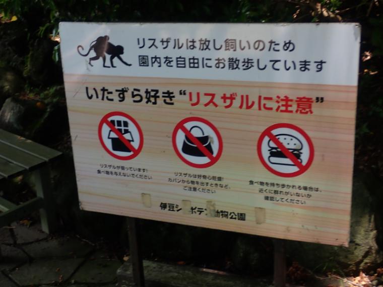 【静岡県伊東市・伊豆シャボテン動物公園】放し飼いの動物も! “距離感ゼロ”で新感覚 おやつあげ体験してきました